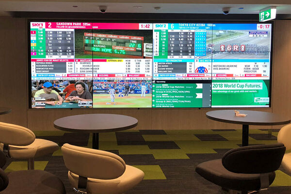 3-sports-walls62D7385D-1A3E-2336-36D1-106D59880C5B.jpg